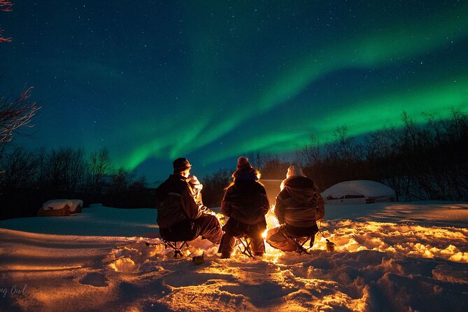 Northern Lights Hunt